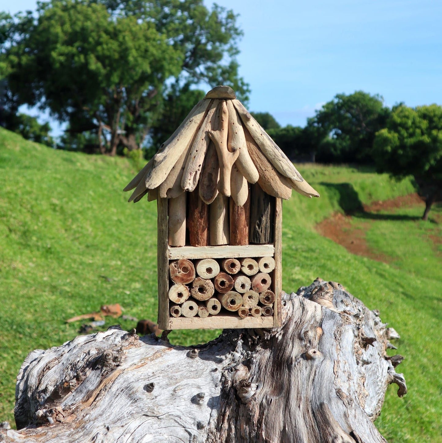 Driftwood Bee & Insect Double Box