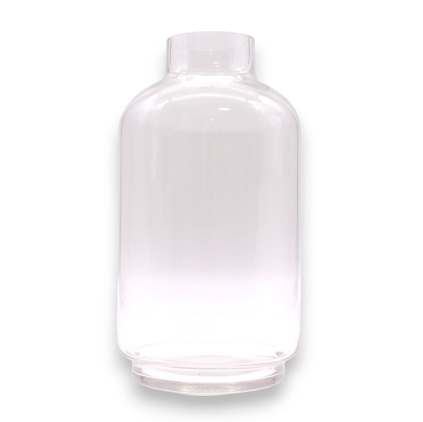 Large Ball Top Terarium on Dark Tung Wood - 16x32cm