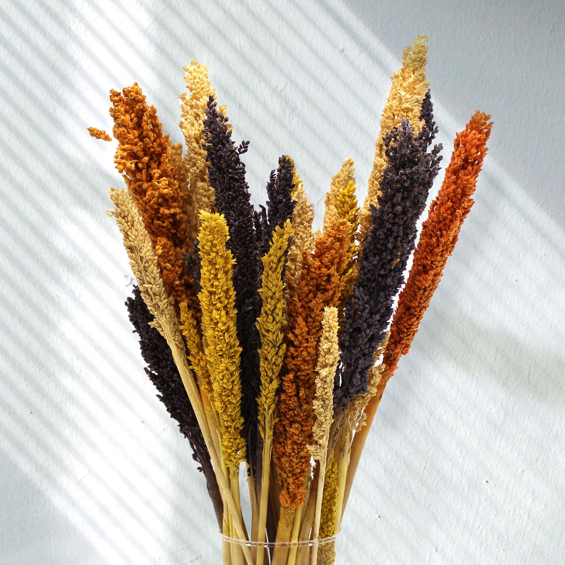 Cantal Grass Bunch - Orange