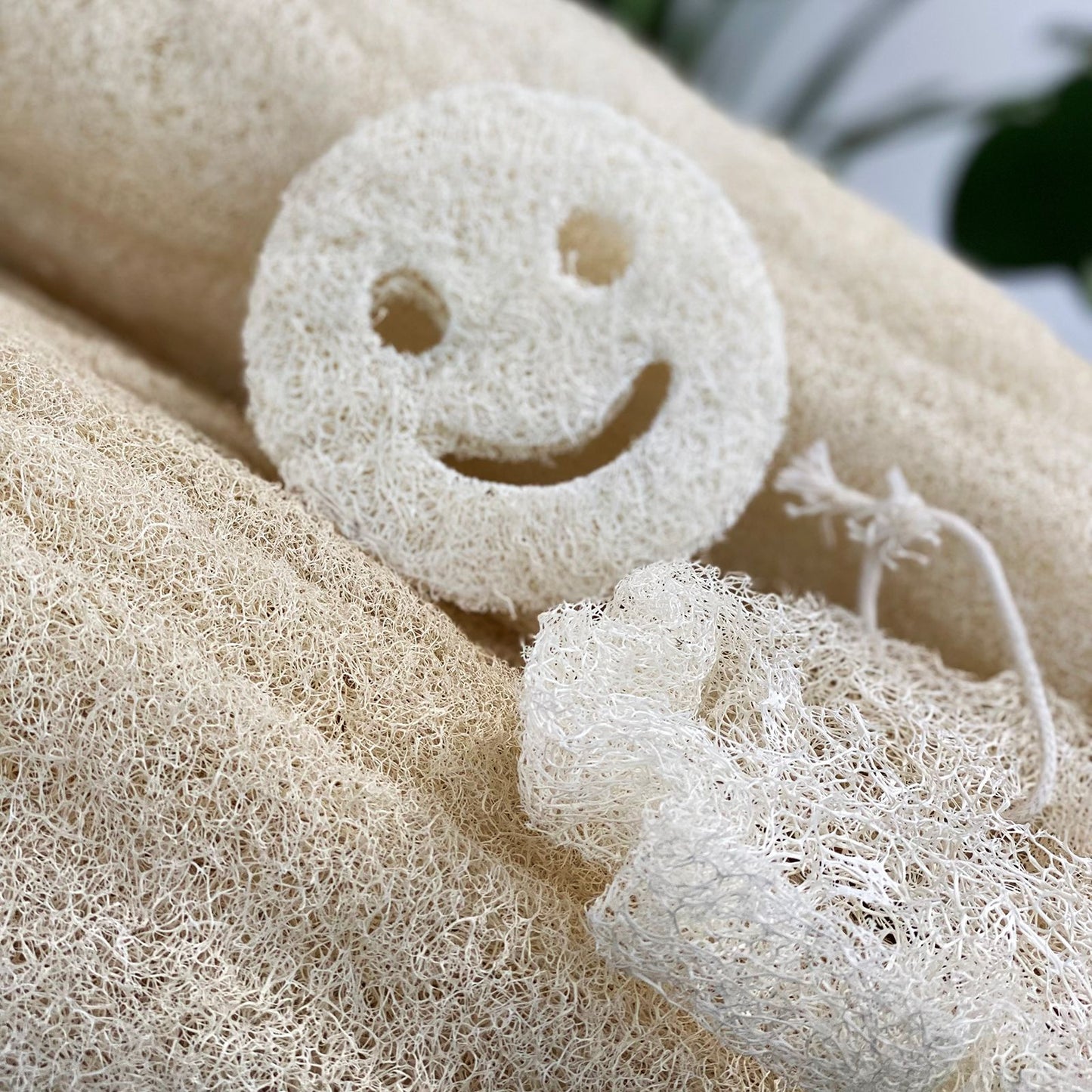 Egyptian Luxury Loofah with Cotton String - Non-Compressed - 2cm